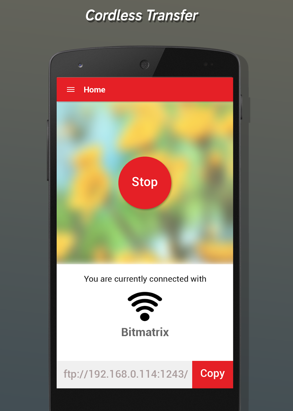 App Detail | App Bitrix